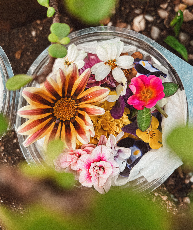 Edible Florals - cake decorating