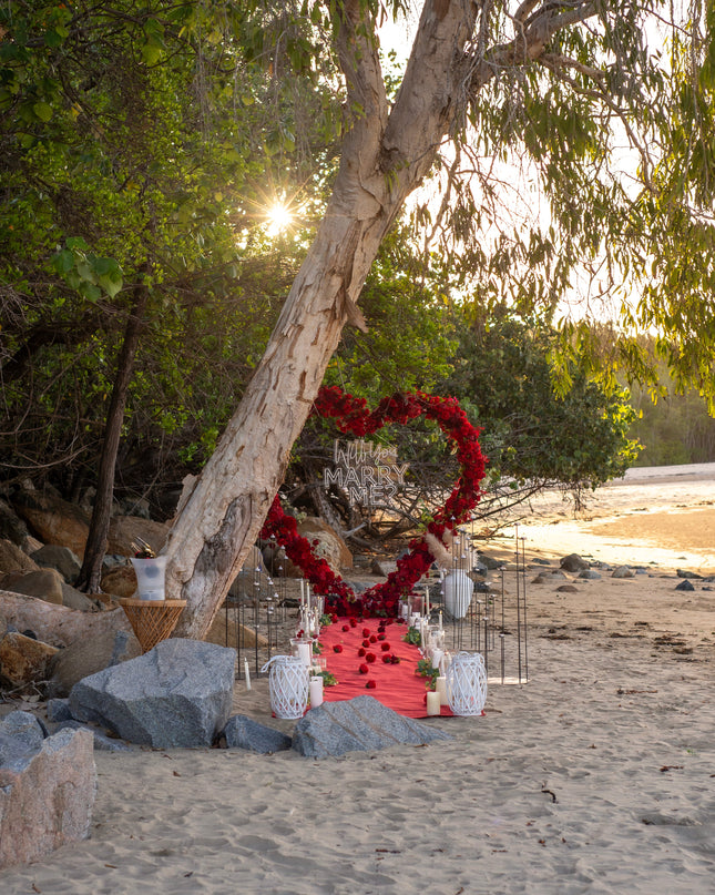 Red Rose Heart Backdrop Hire