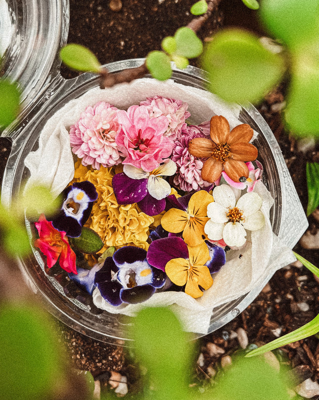 Edible Florals - cake decorating