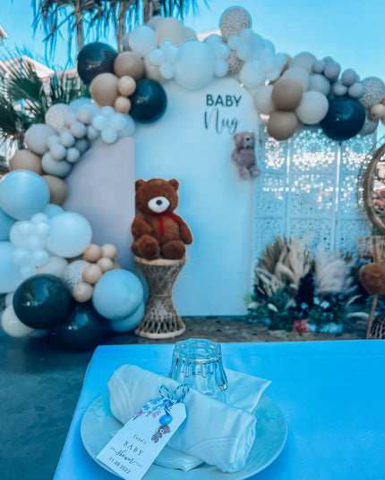 🎀 Baby Shower & Gender Reveal Packages