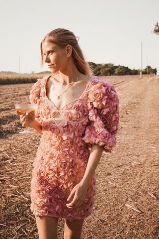 ROSEY Dress Hire. size Small/ 6