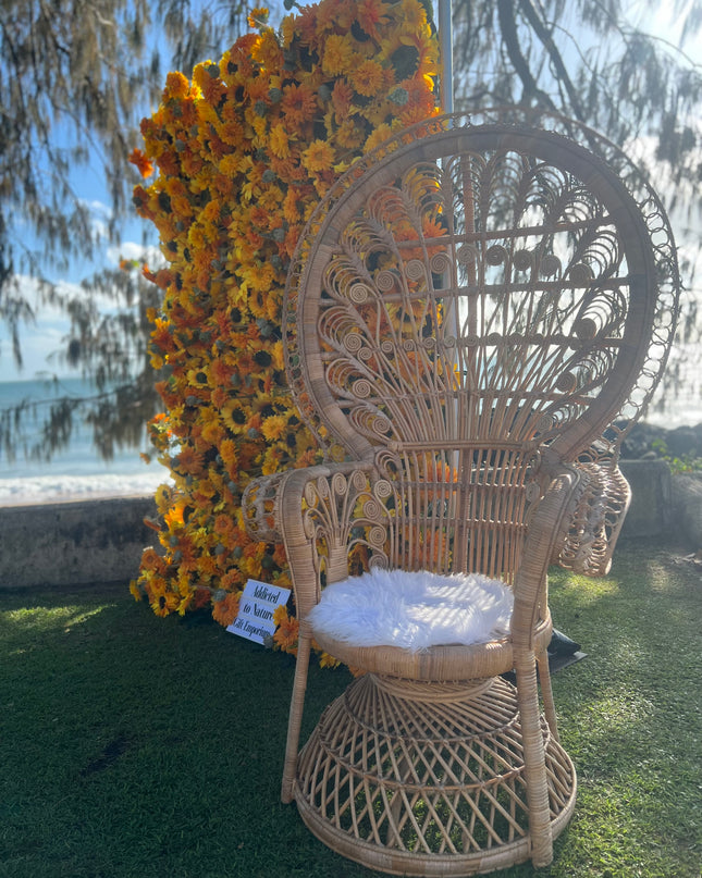 Peacock Chair Hire
