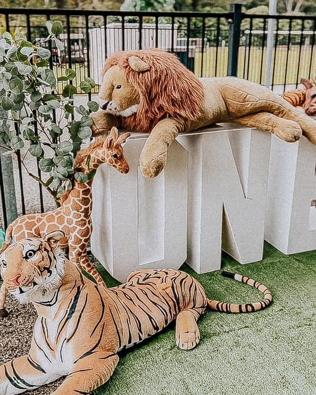 Full Jungle theme decor package