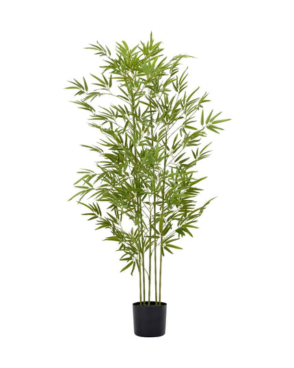 Assorted Greenery Prop Hire