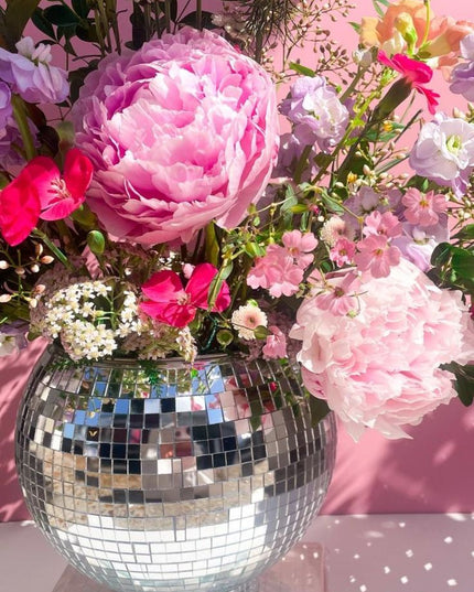 Disco Collection