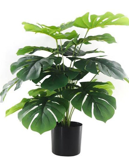 Assorted Greenery Prop Hire