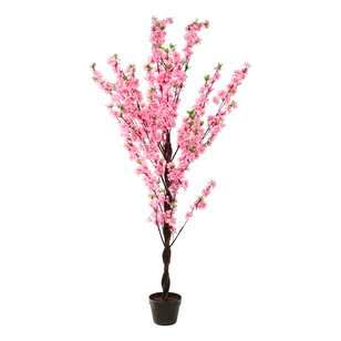 Assorted Greenery Prop Hire