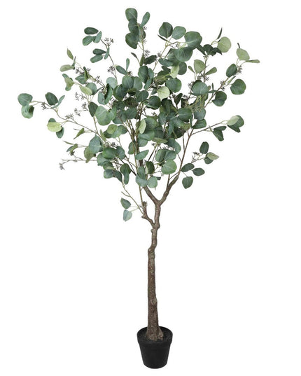 Assorted Greenery Prop Hire