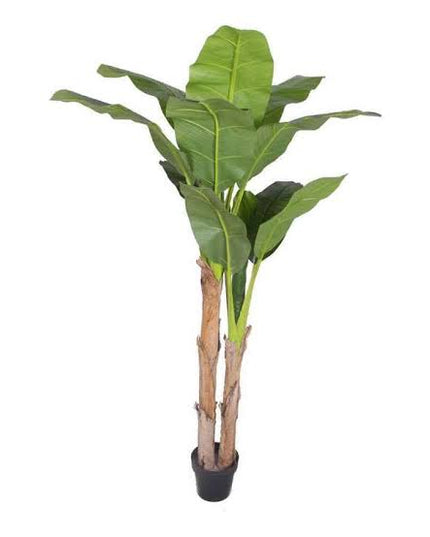 Assorted Greenery Prop Hire