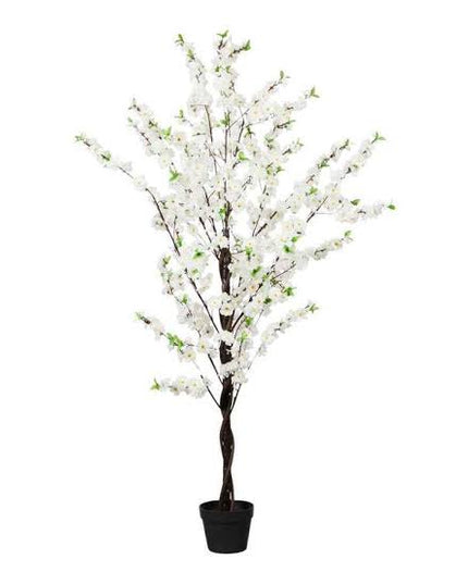 Assorted Greenery Prop Hire