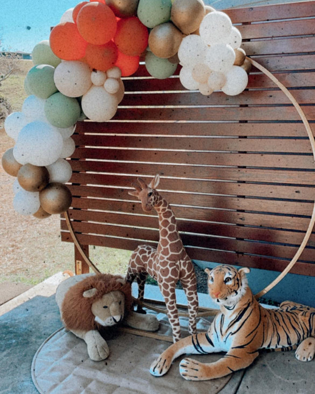 🎈 Kids Birthday Party Packages